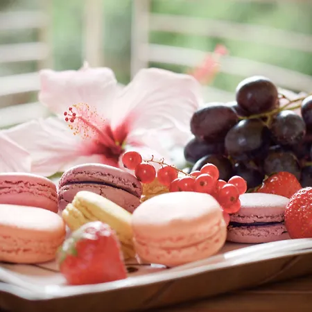 Hotel Almar Timi Ama